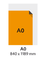 A0