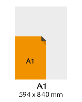 A1