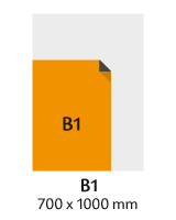 B1